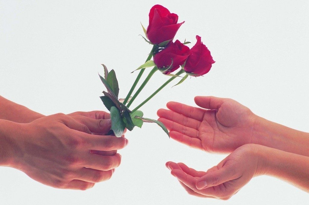گل های متنوع برای هدیه دادن